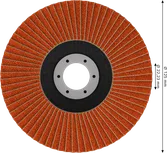 Lamelový kotouč Bosch EXPERT X782, úhlový, 125 mm, G60.